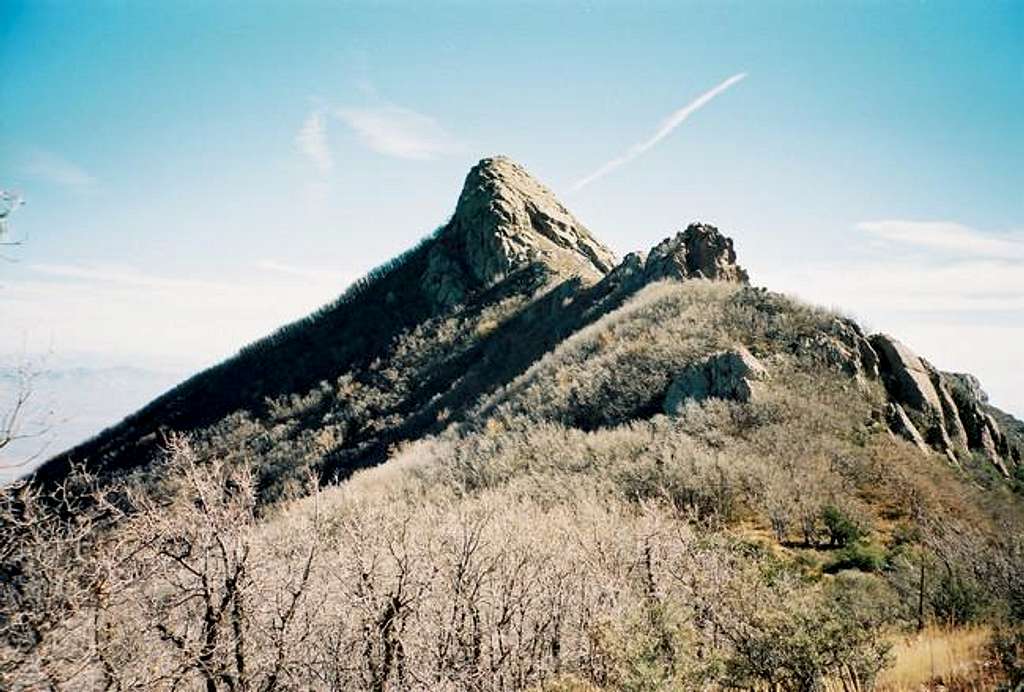 A view of Mount Turnbull.