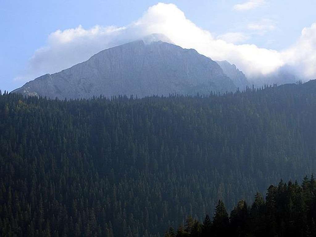  Savin Kuk (2313 m) from Crno...