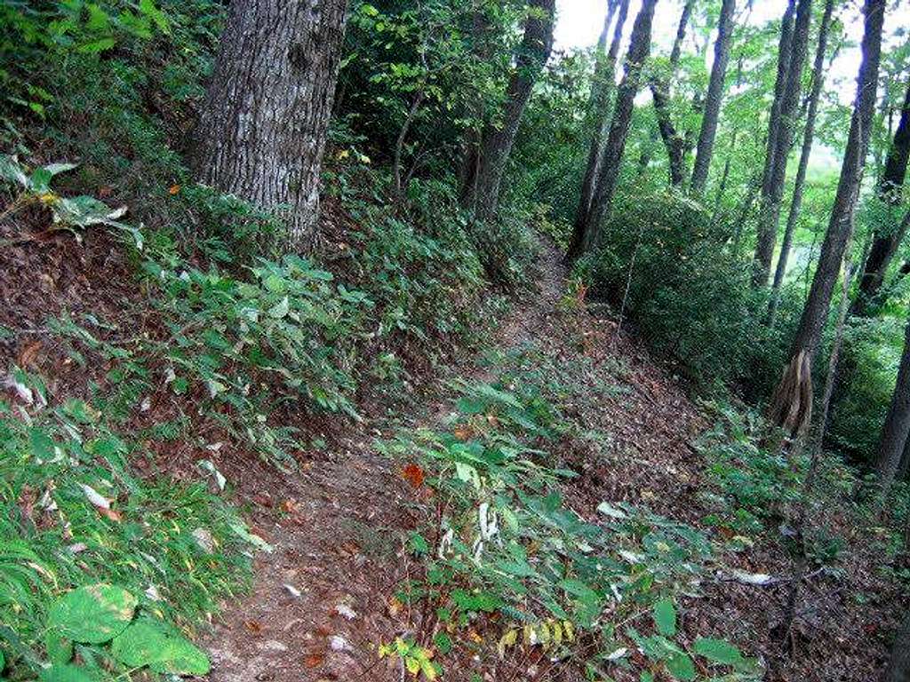 The trail hugs the steep...
