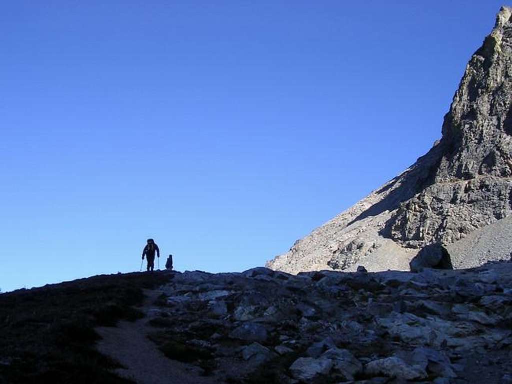 Approaching the summit--Mark...