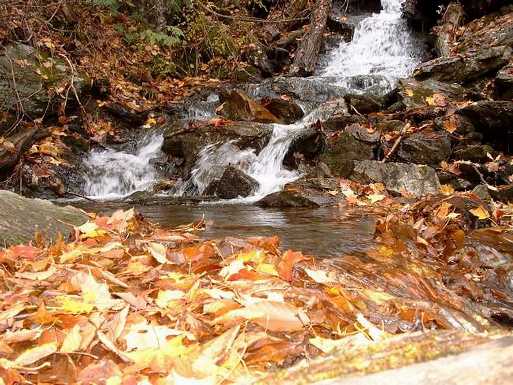 Money Brook Trail Water Fall