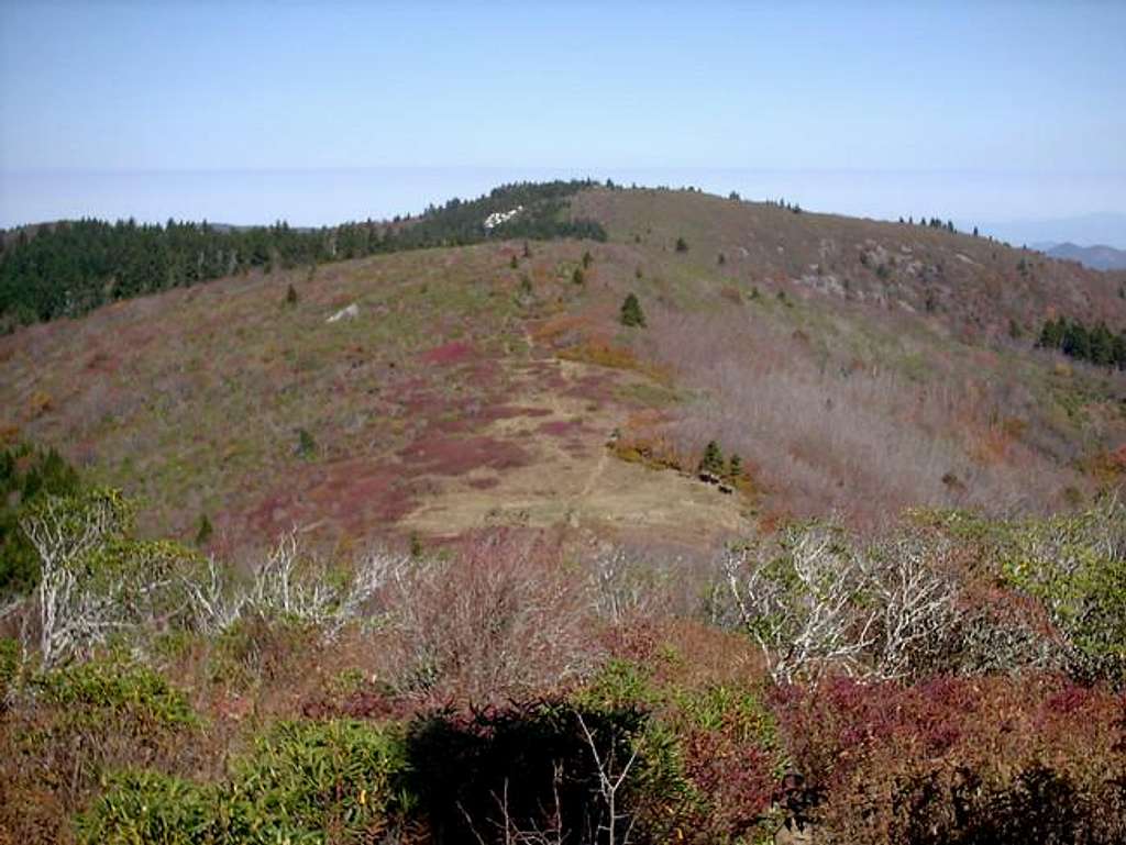 Shining Rock as seen from the...