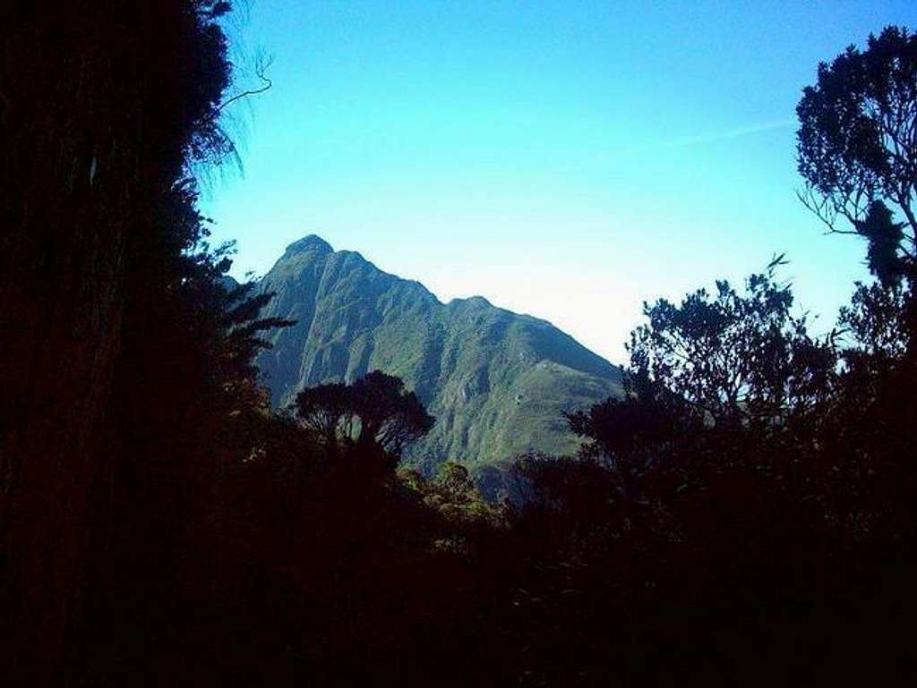 Pico Paraná from the trailhead.