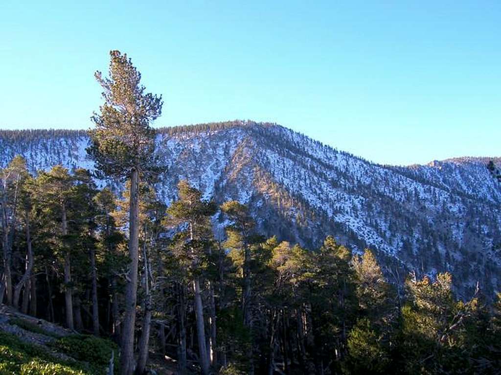 East San Bernardino Peak as...