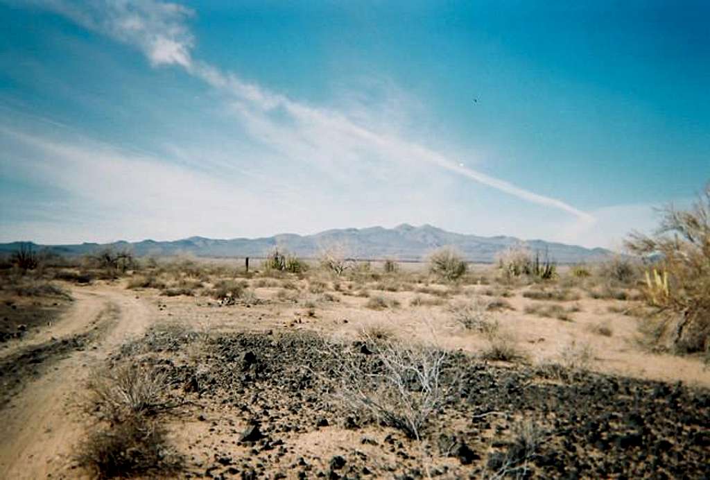 A view of distant Pinacate...