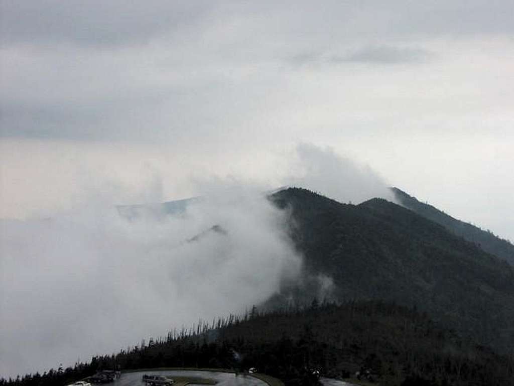 A view from Mt. Mitchell, May...