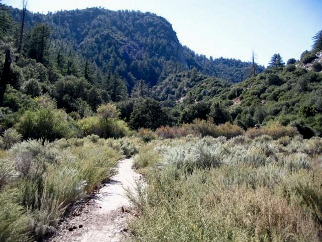 Colby Canyon trail along the...