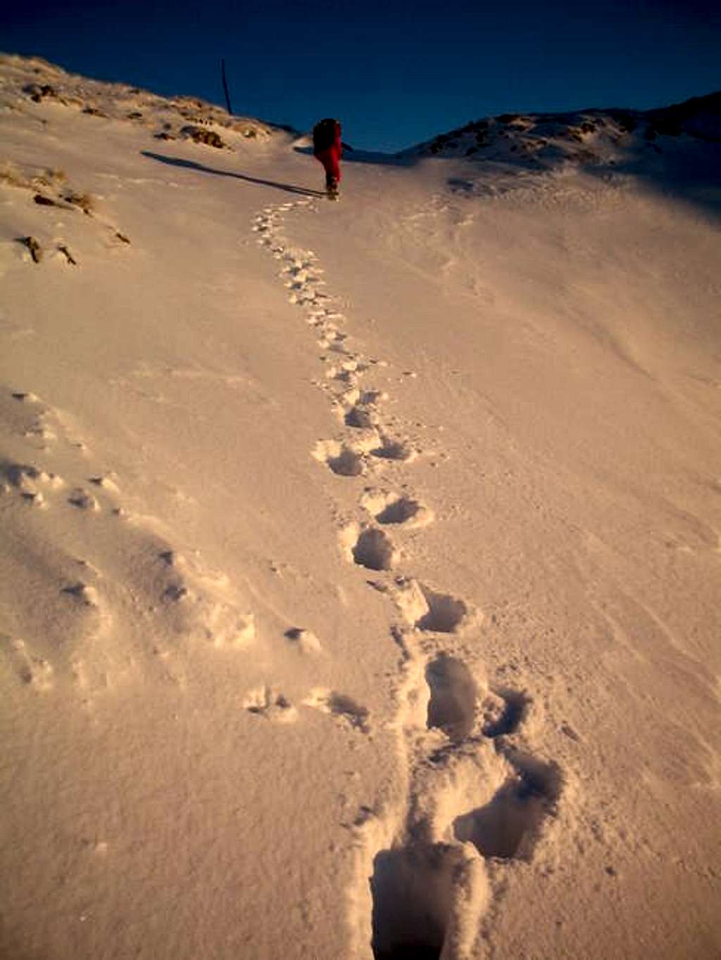 Footsteps in a snow in sunset...