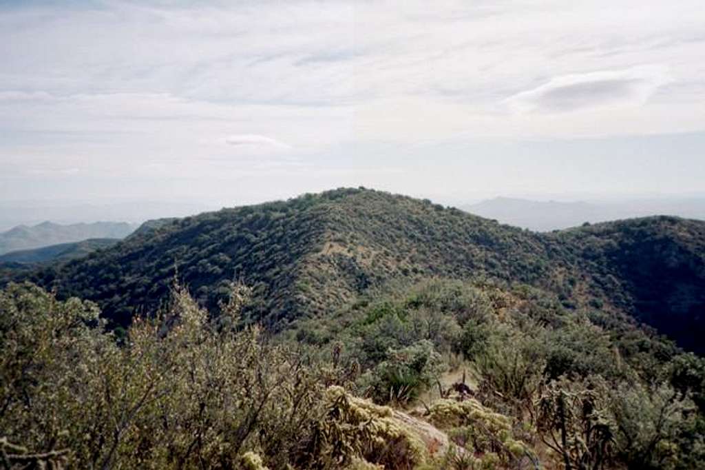 A view of Mount Ballard from...