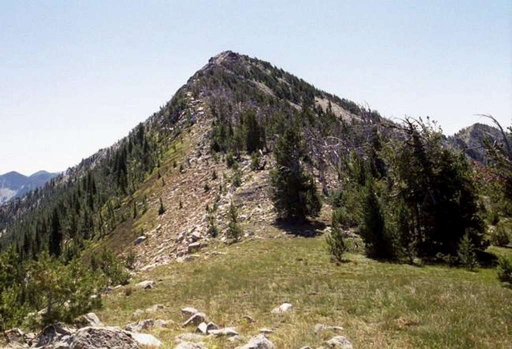 The north ridge of Mt. Ruth...