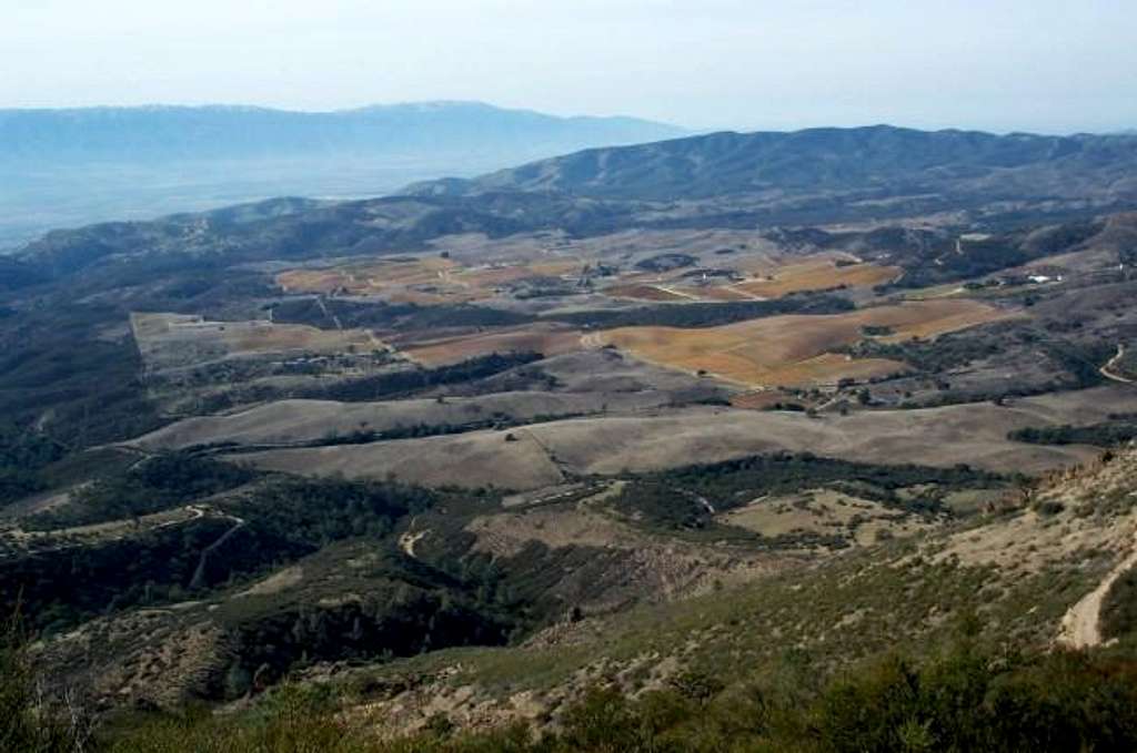 Views of the grape fields below