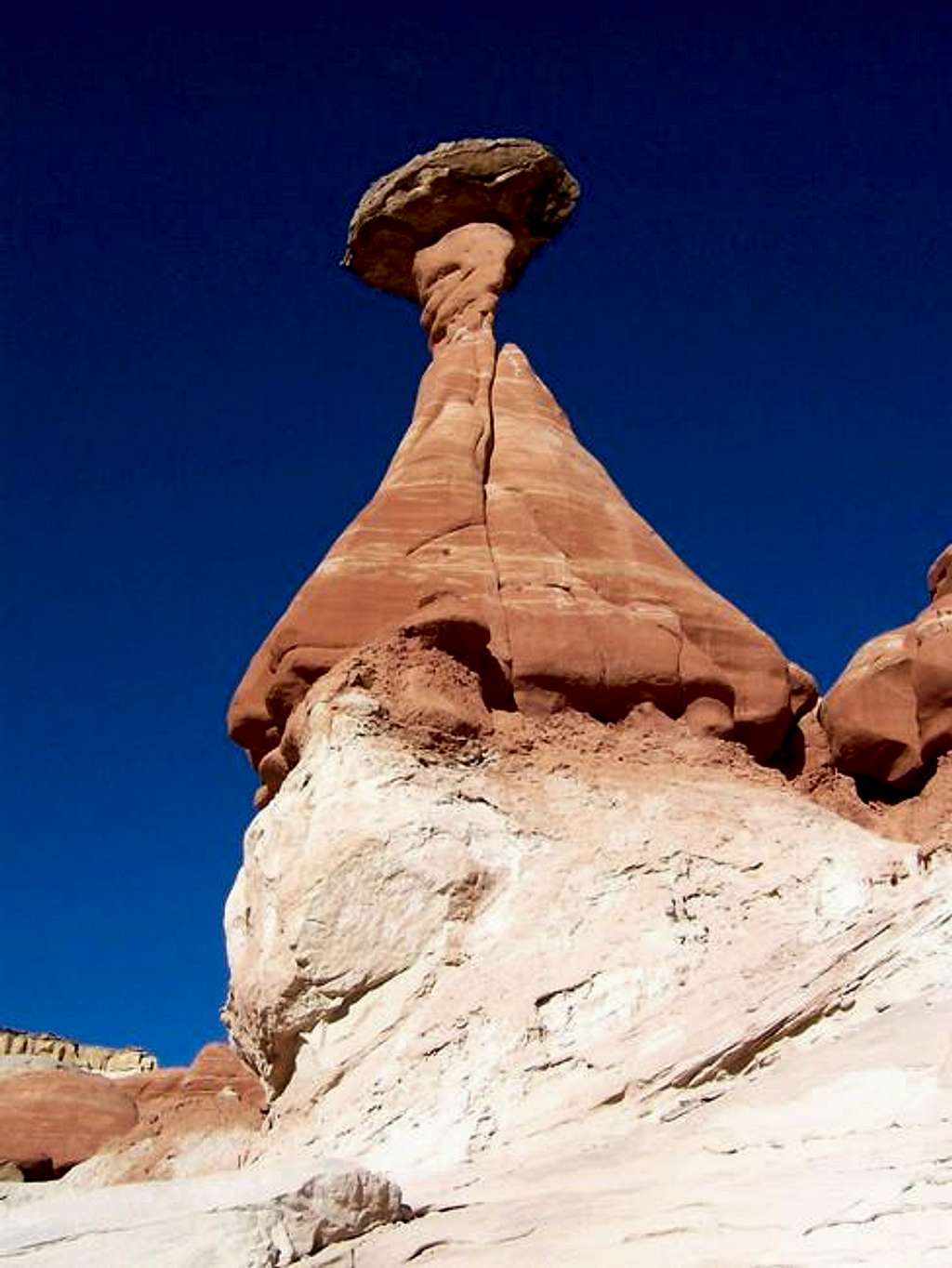 The Red Toadstool in Valley...