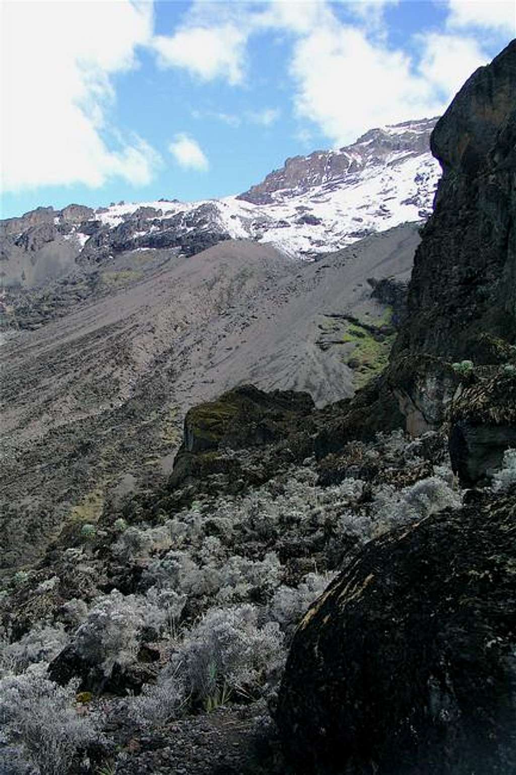 Mt. Kilimanjaro Jan 2005