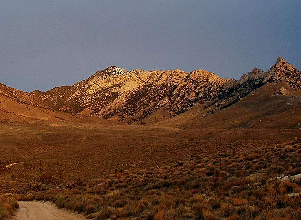 Owens Peak at dawn from...