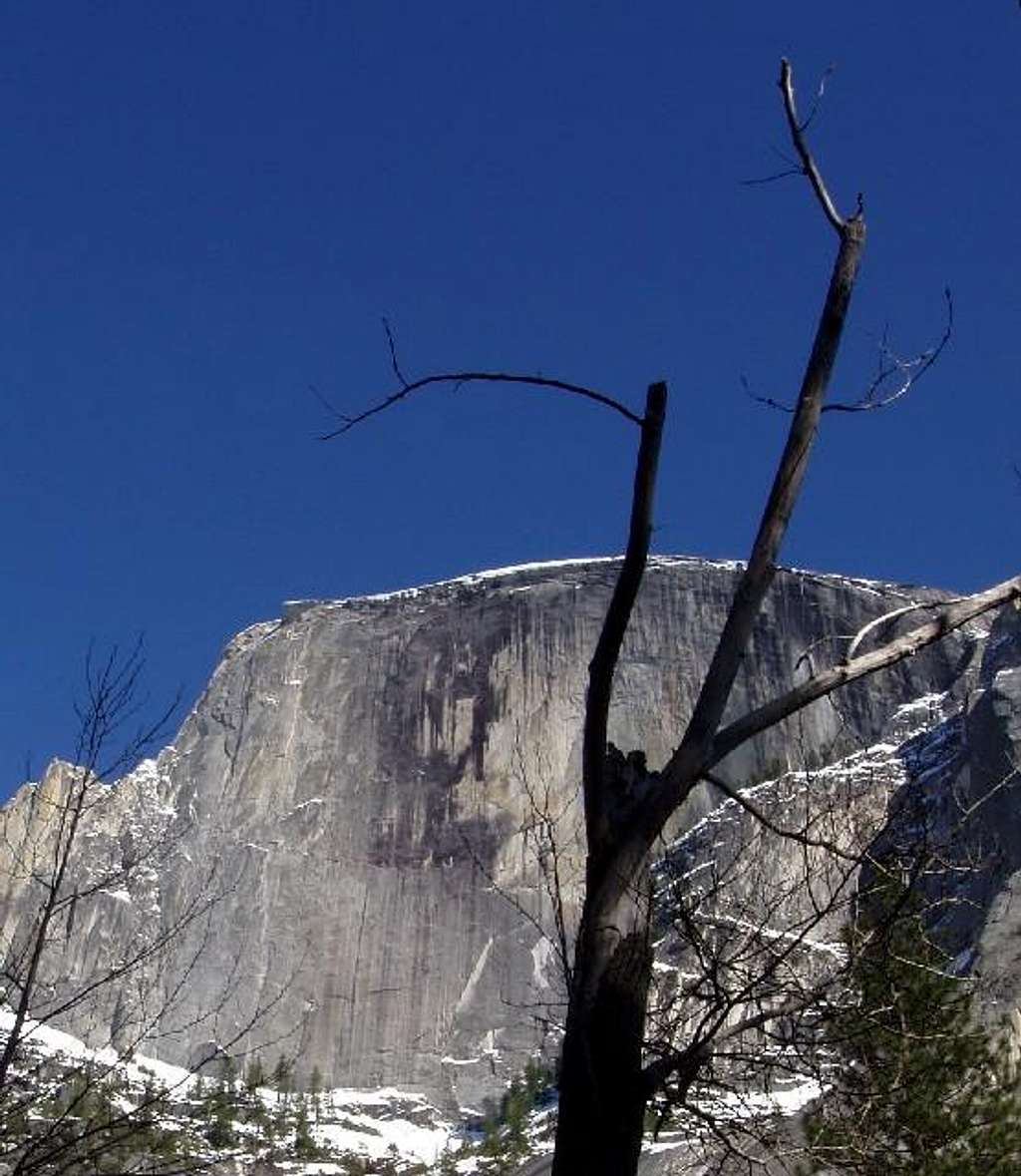 A view of Half Dome from far...