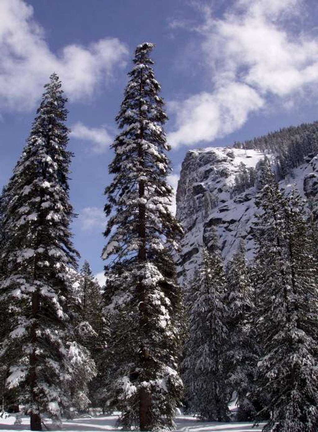 The Watchtower in Winter