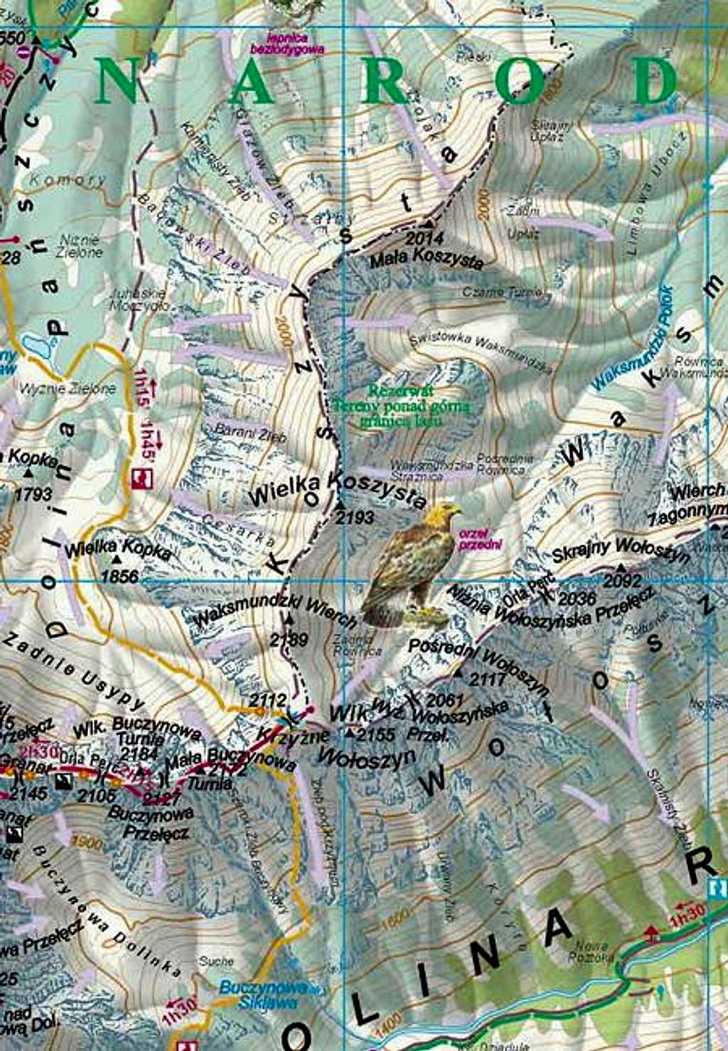 Koszysta ridge - Map of the...