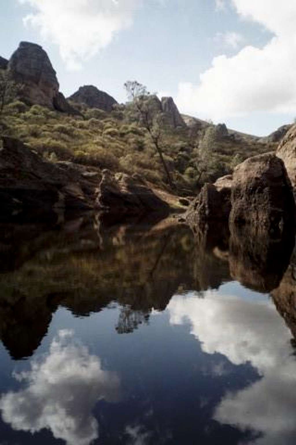 Reflections of Pinnacles in...