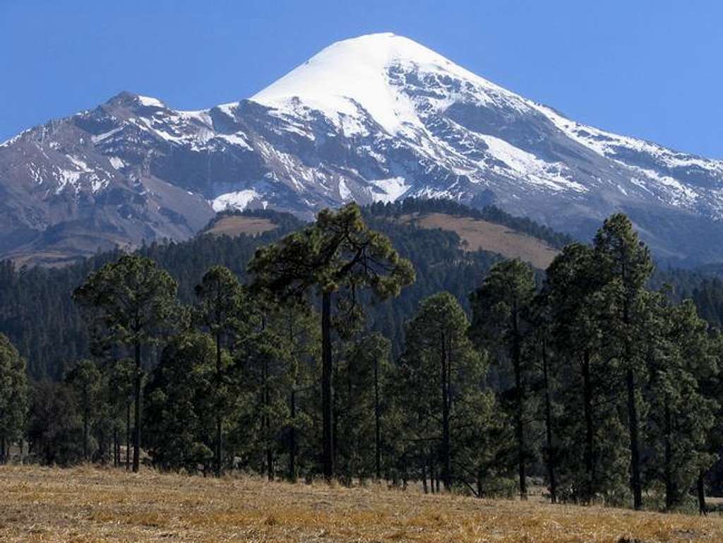 View of Pico de Orizaba from...