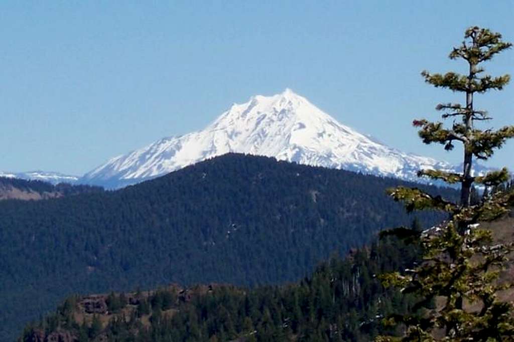 Mt Jefferson from Iron...