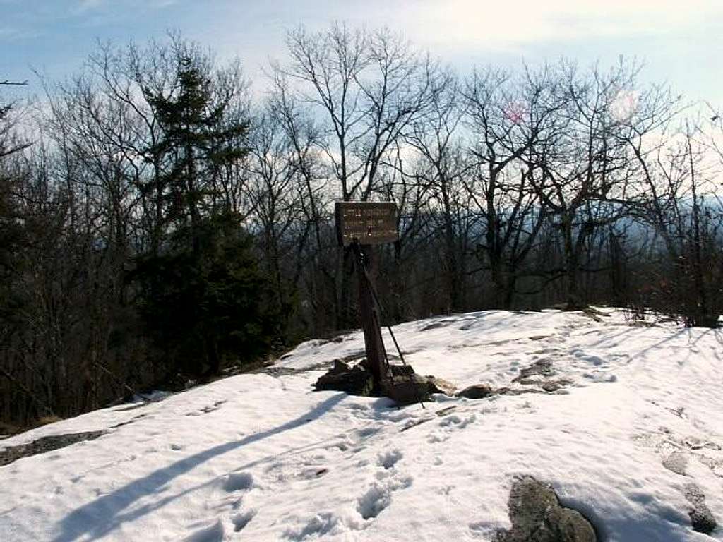 The summit sign on Little Mt....