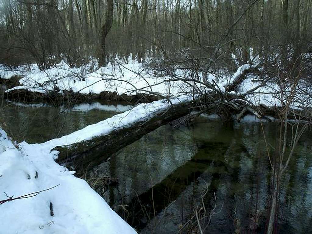 This is the creek crossing...