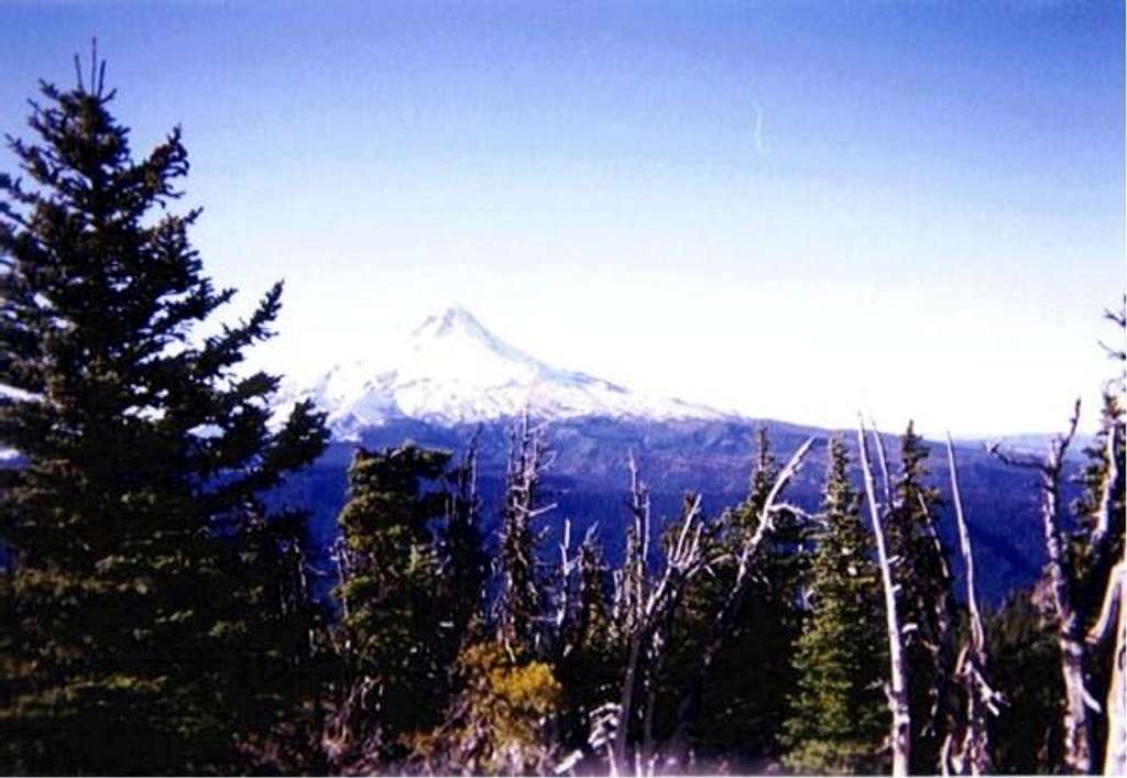 Mt. Hood from the dirt road...
