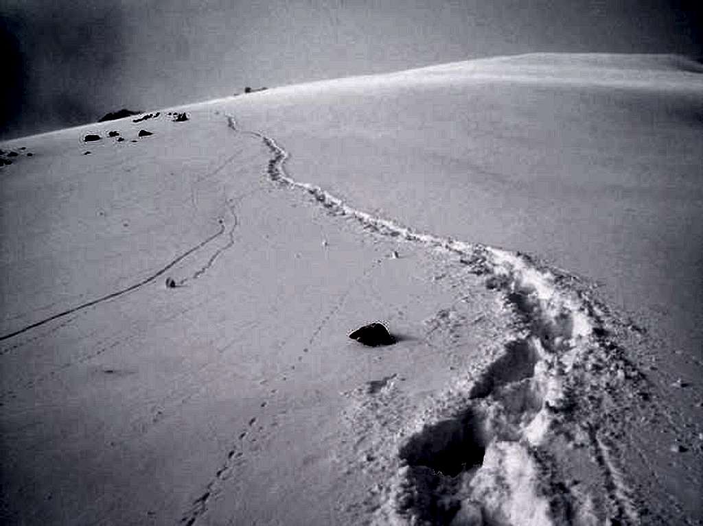 Tracks near summit of Mystic
...