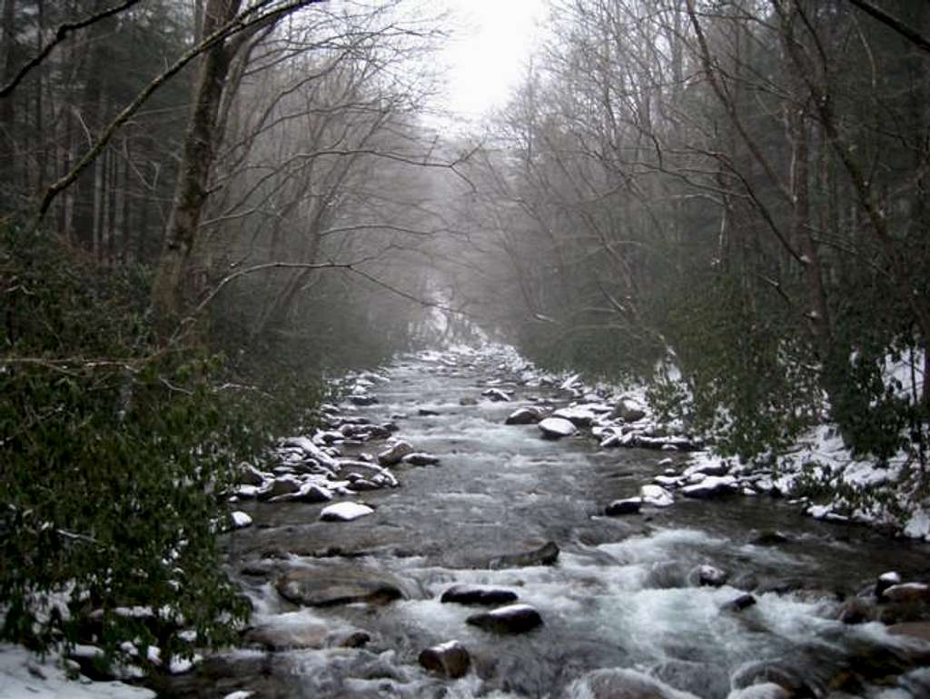 Creek with snowfall on the...