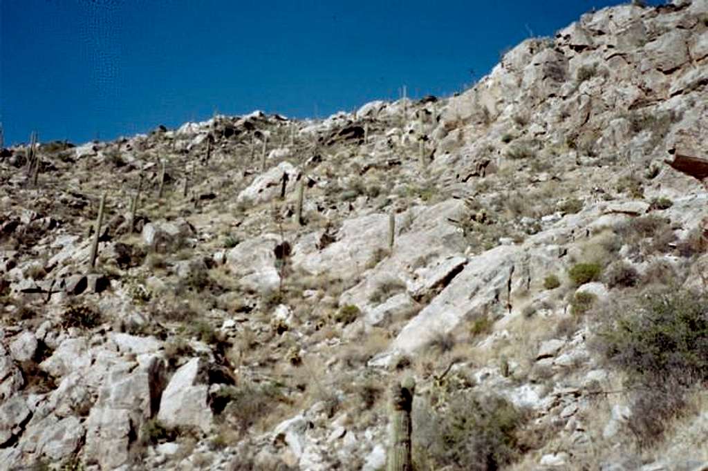 Looking up the slope towards...