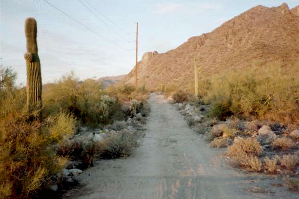 A view of the powerline road...