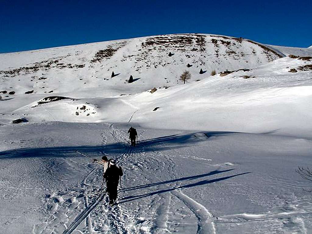 Alpe Alba prairies see...