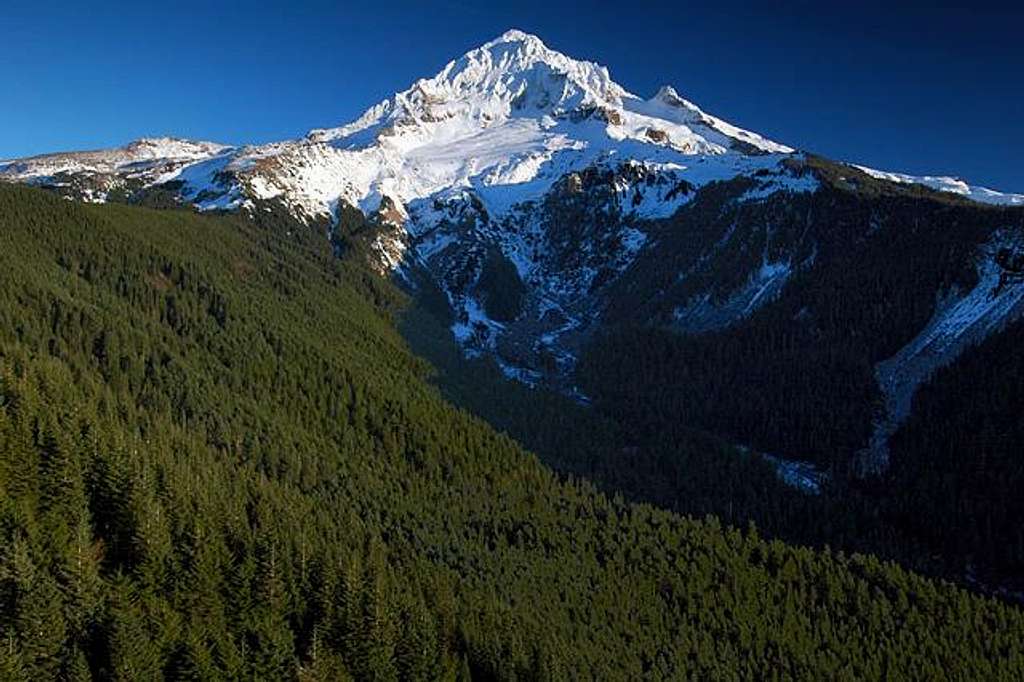 Mount Hood as seen from Bald...