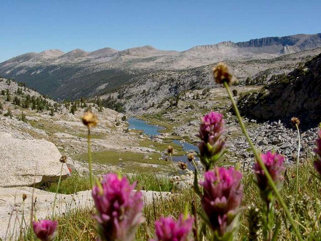 Benches above JMT. Aug 5, 2001