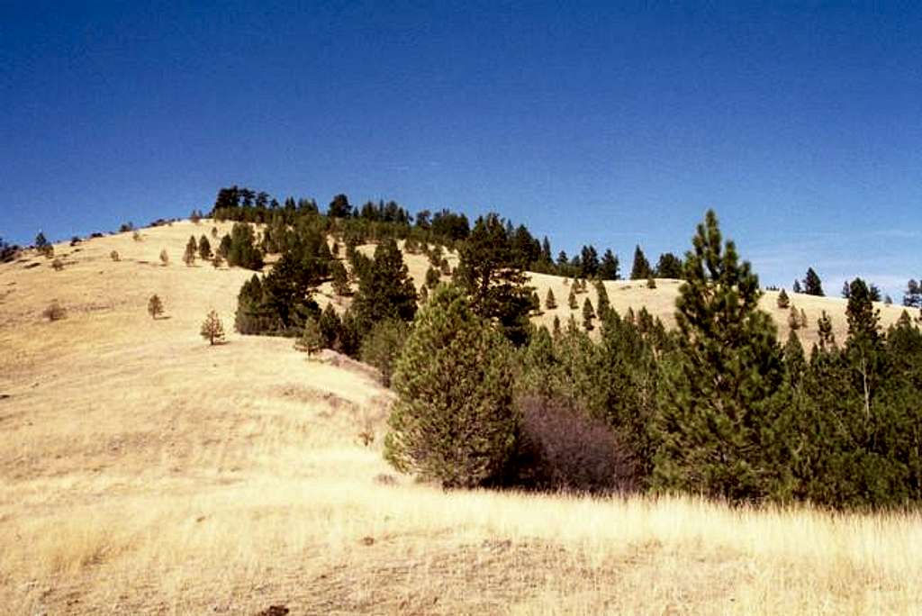 Looking up the ridge from the...