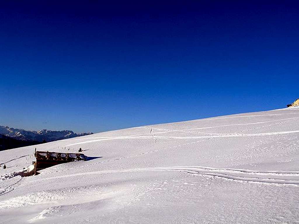 Monte Pazùl prairies