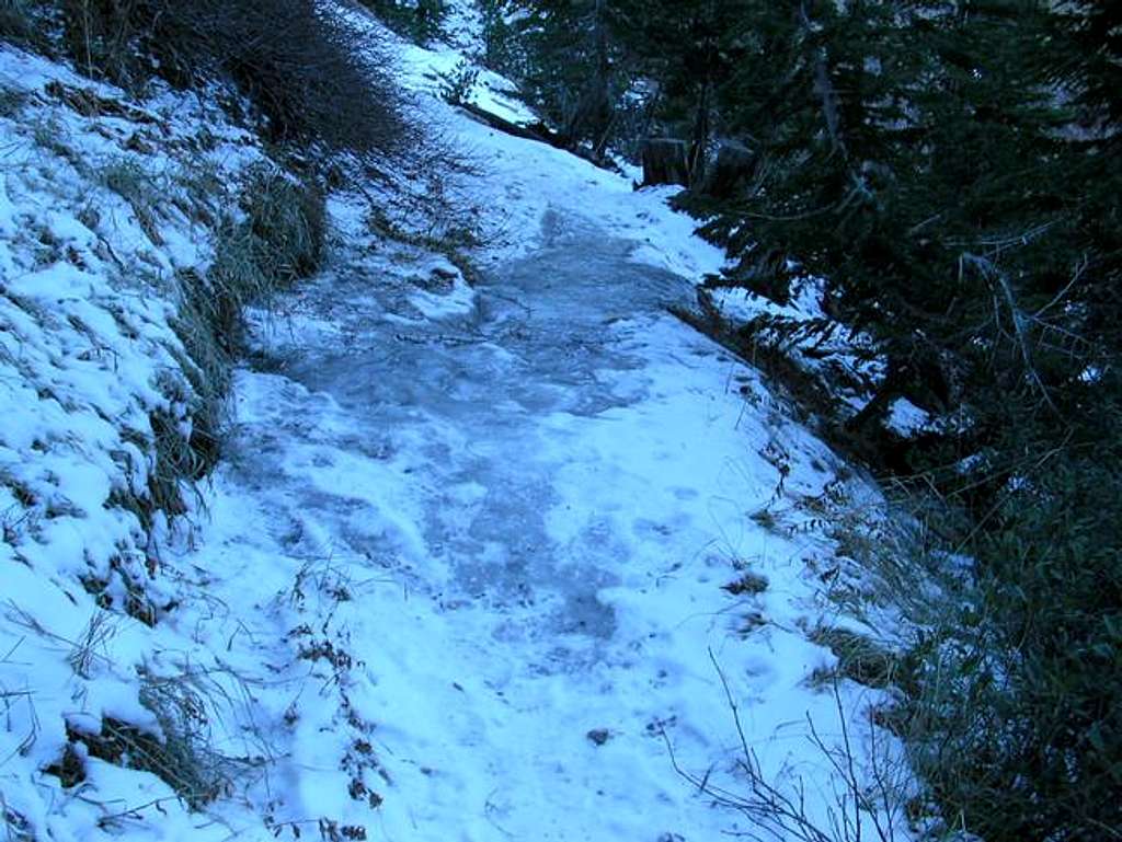 Ice on trail. Dec 17th, 2005.