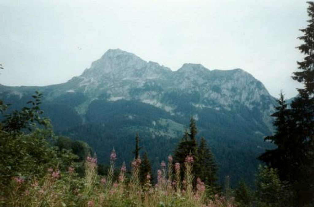 The summit from the east...