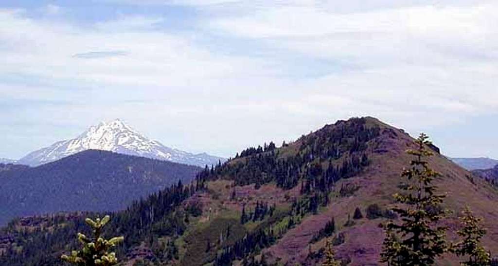 Mount Jefferson and Cone Peak...
