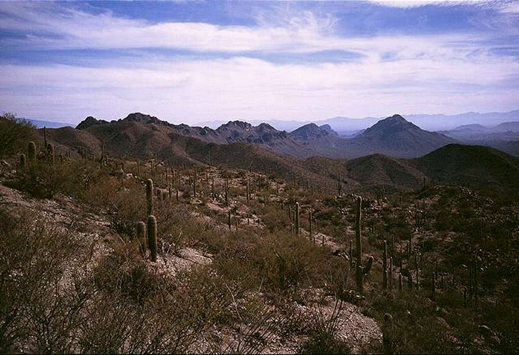 View south towards the Tucson...
