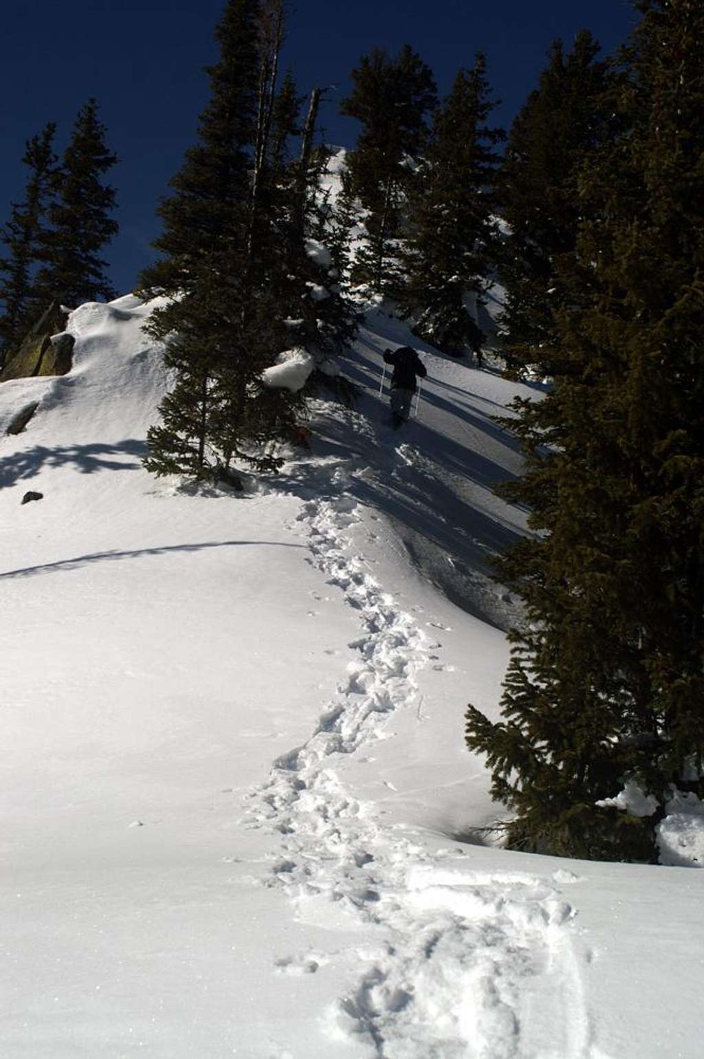 Nipple Peak - East Ridge