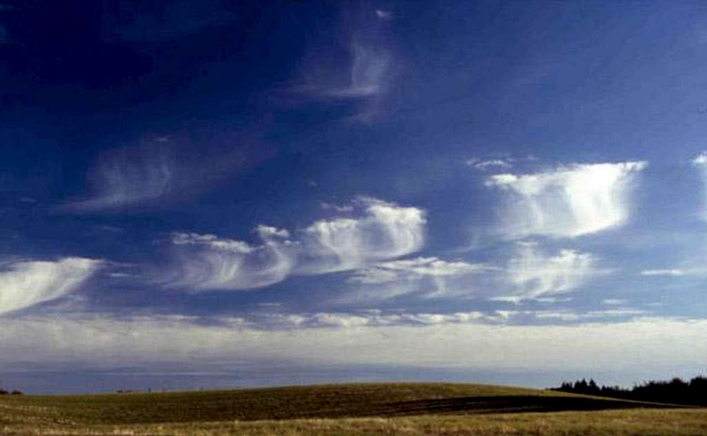 Cirrus clouds in Denmark