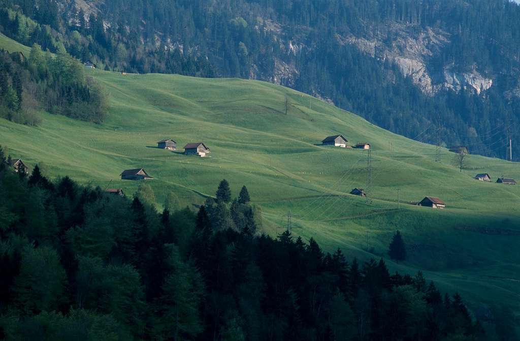 Obwald pastures
