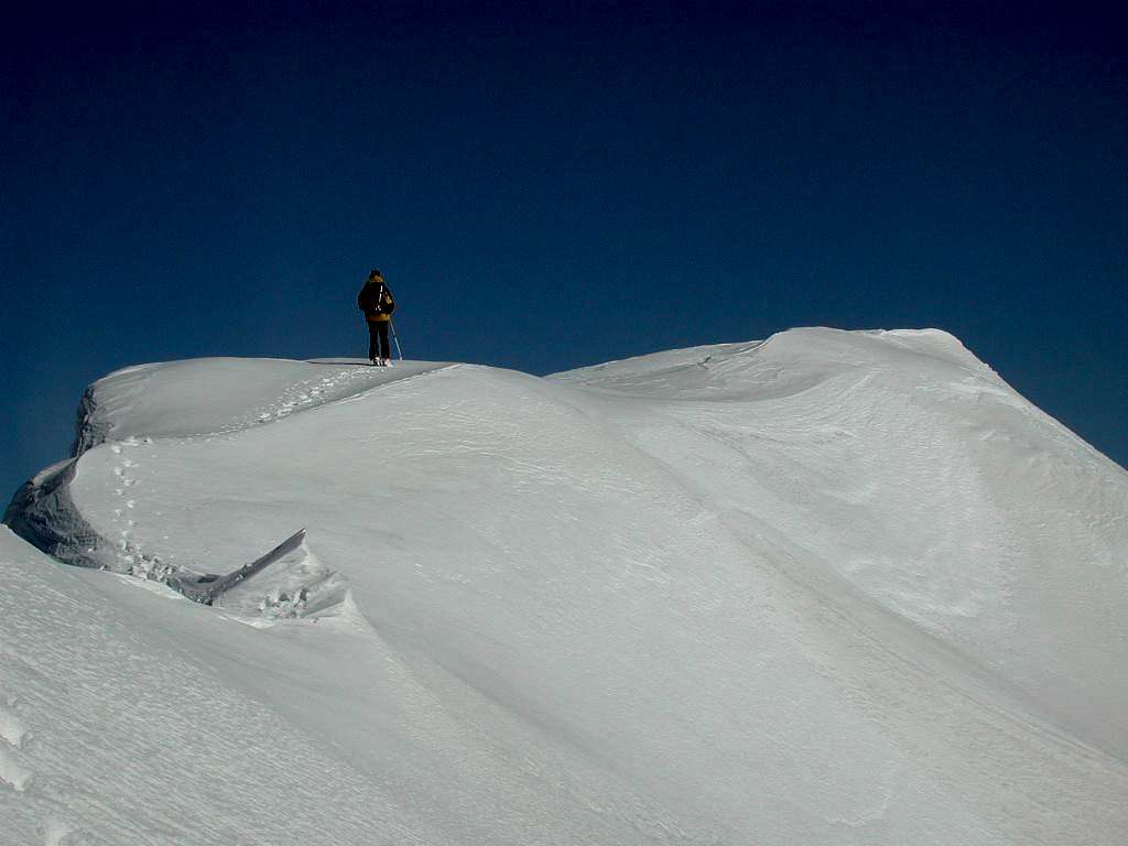 Monte Rosso di Vertosan summit