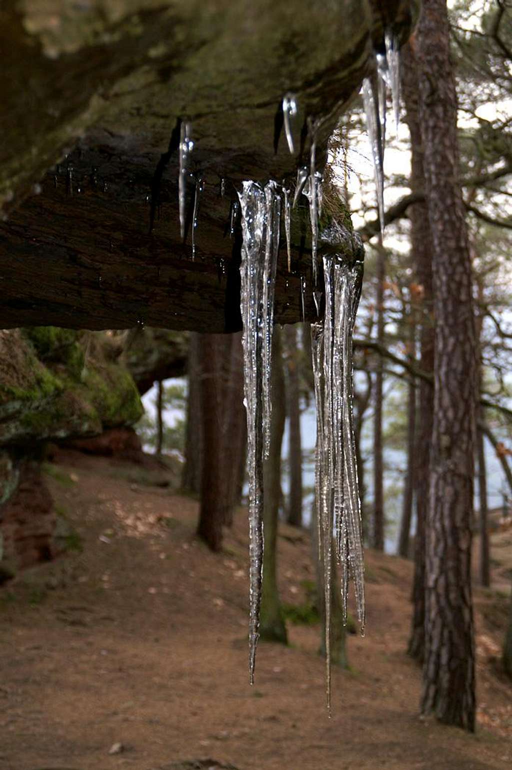 Icicles hanging down from the Soldatenhütte Cave