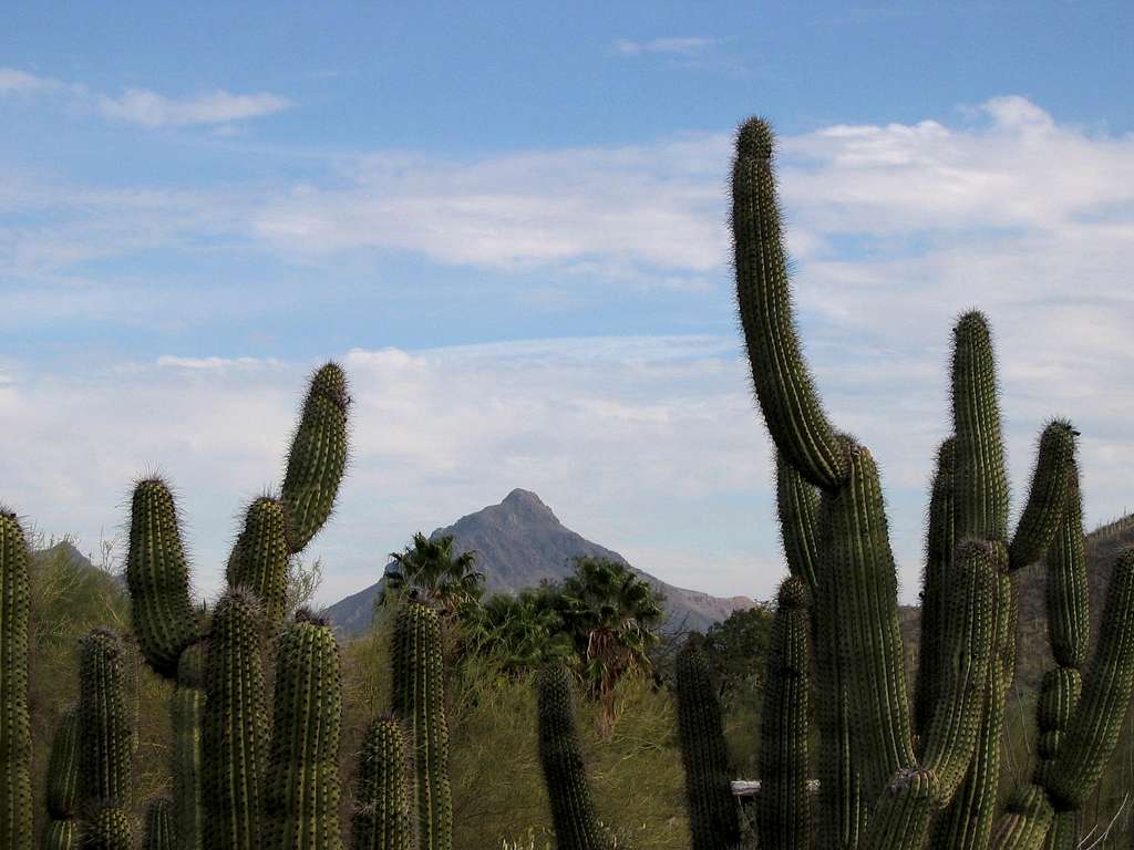 The Tucson Mountains