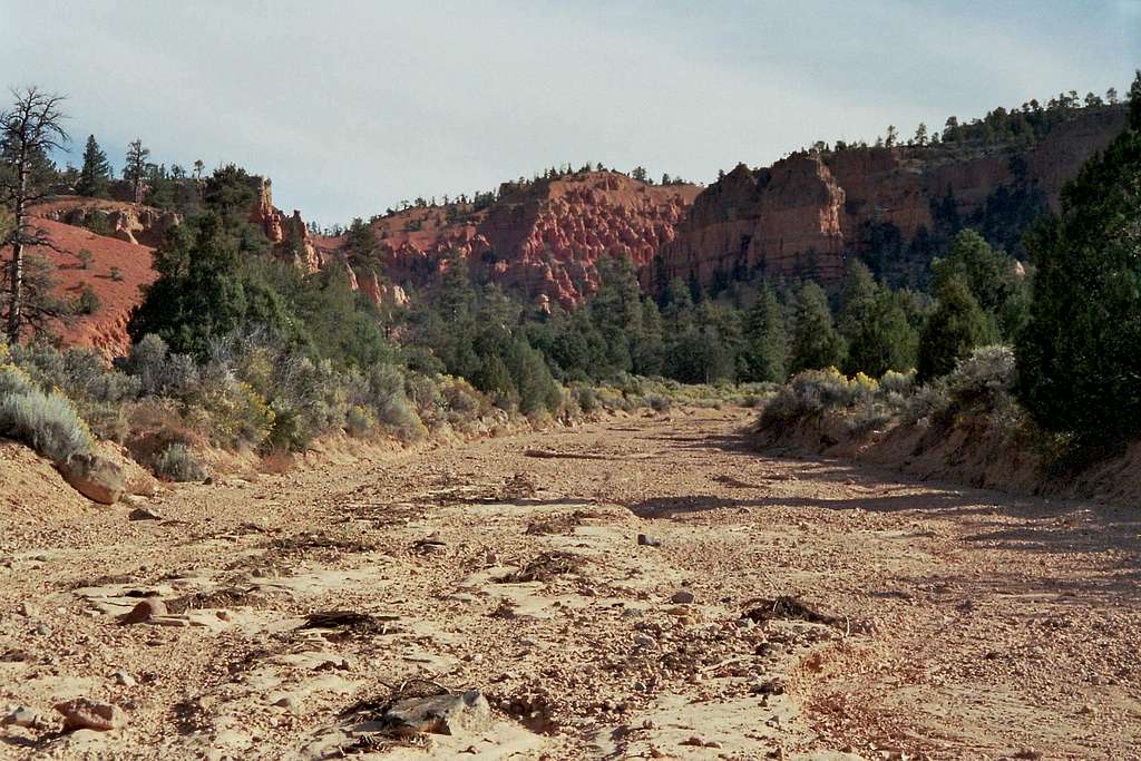 Dried out River