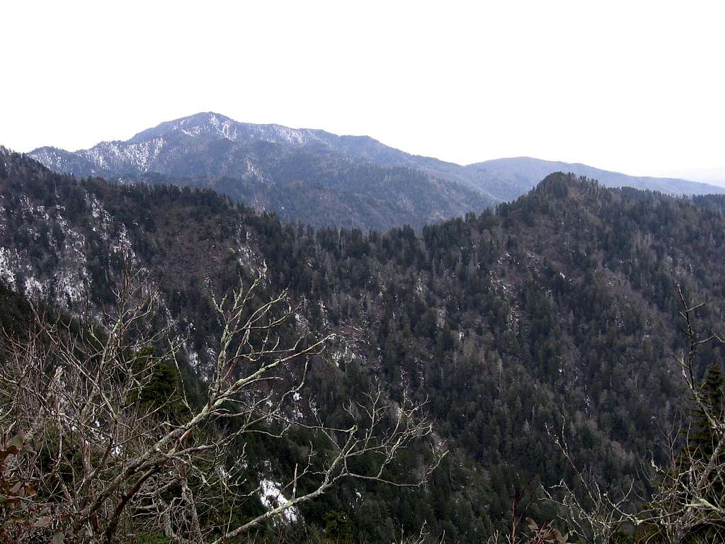 view of LeConte