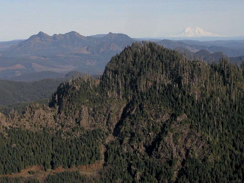 Saddle Mountain and Rainier from 