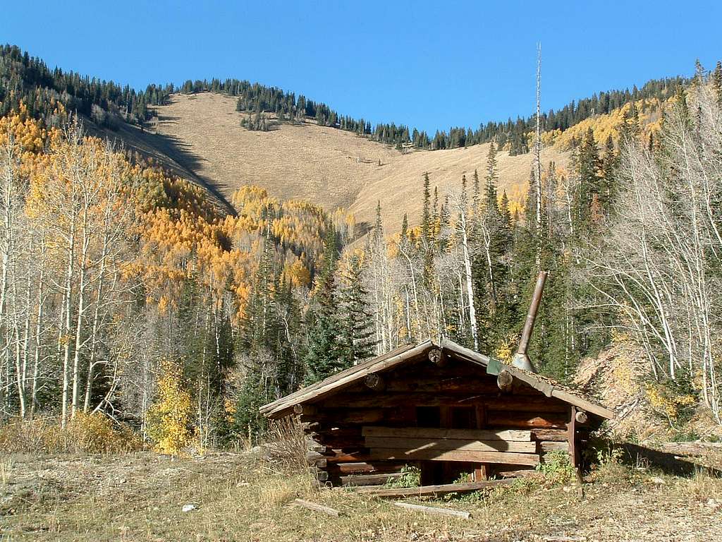 Old cabin in Miner's Basin